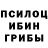 Галлюциногенные грибы мицелий Dymitr Chmielnicki
