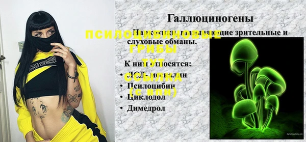 дмт Алексин
