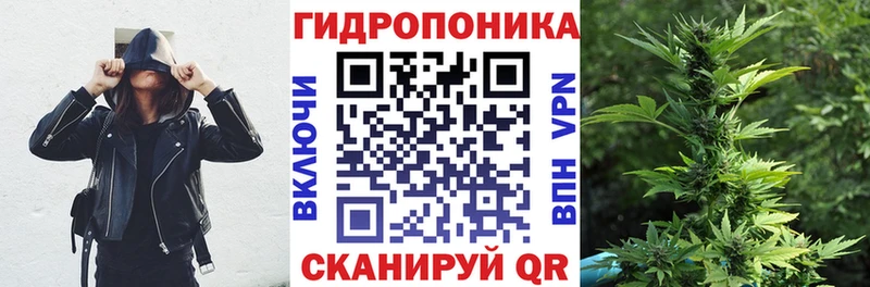 Канабис планчик Ардон
